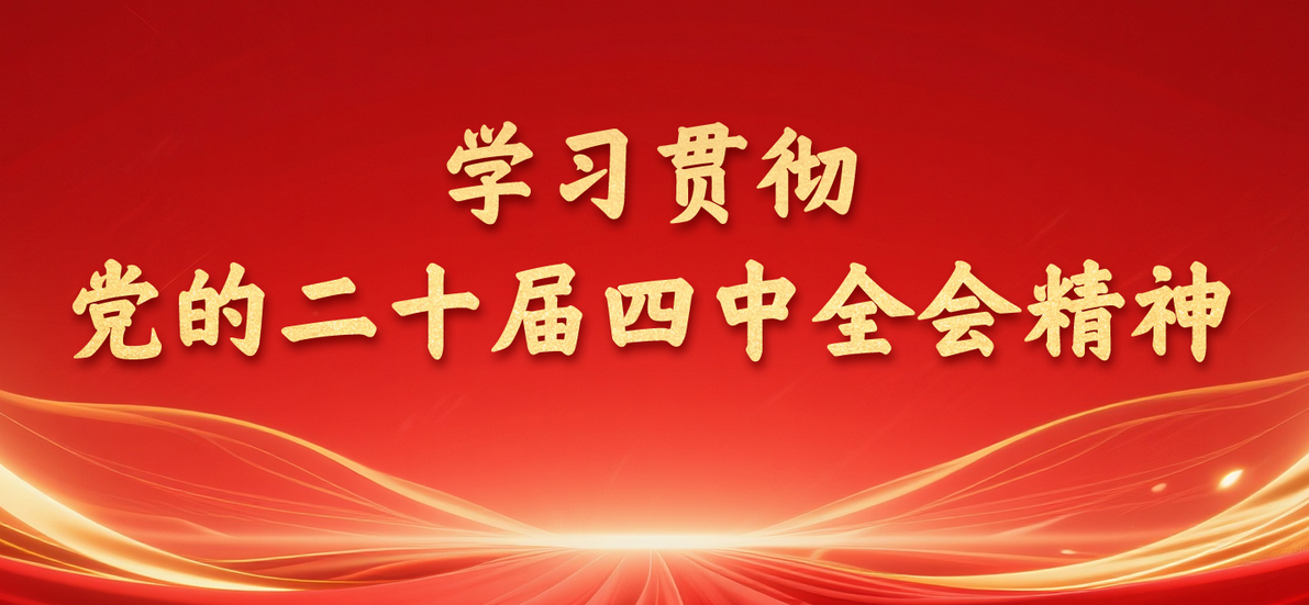 学习贯彻党的二十届四中全会精神